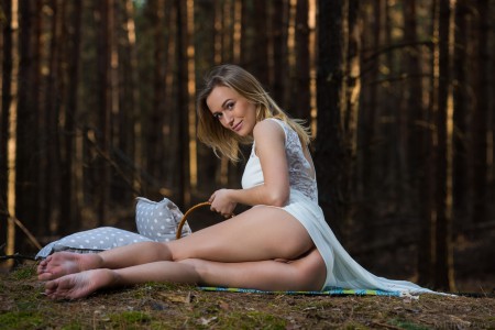 Летний пикник с обнаженной девушкой