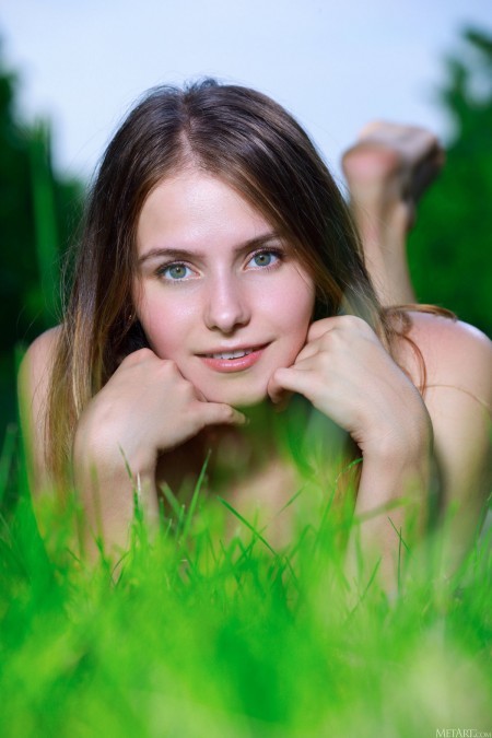 Летняя радость в лесу