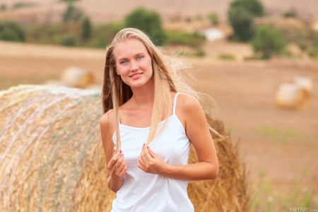 Летний день: Далия на ферме