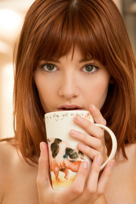 Лена Андерсон: чувственная фотосессия на кухне