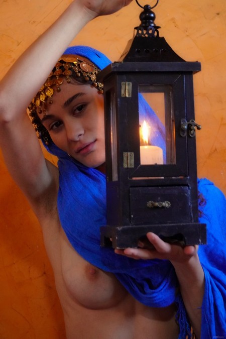 Очарование культур и светильник обнаженной